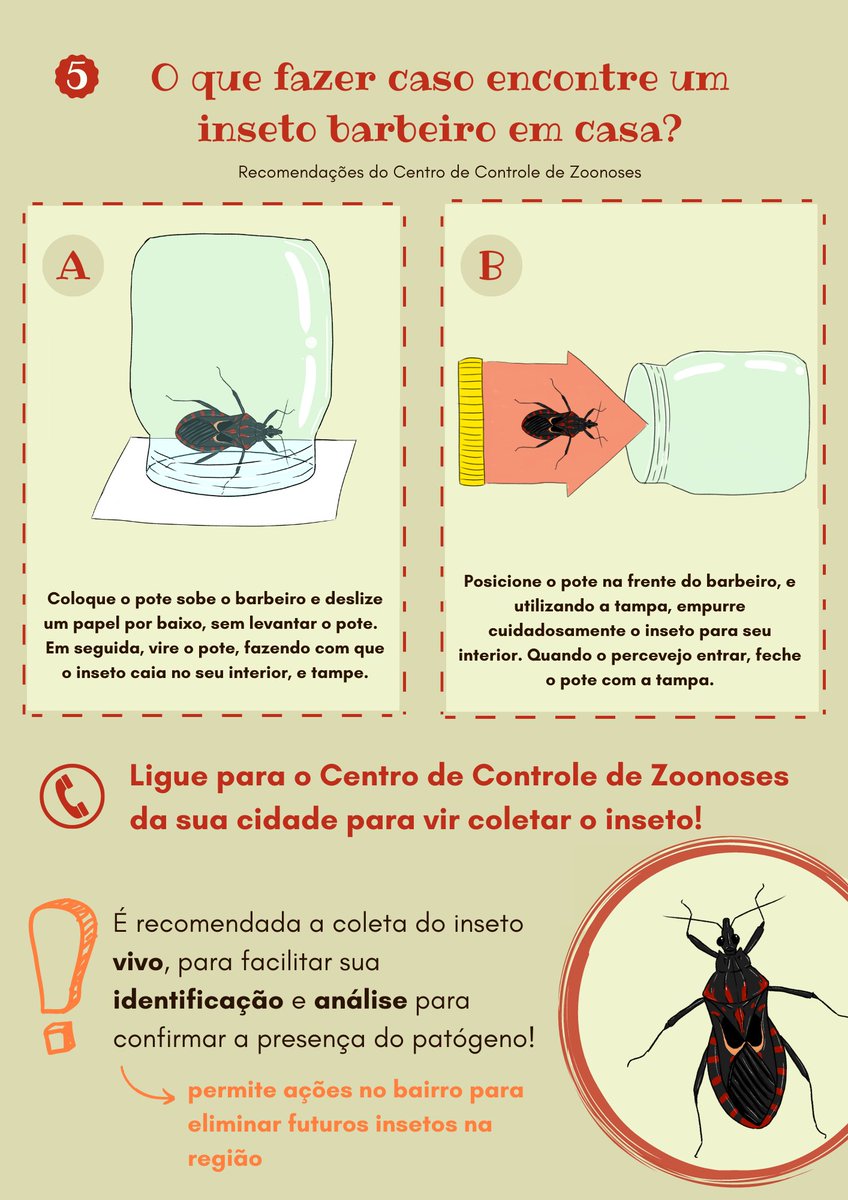felipecapoccia's tweet photo. Cartilha de conscientização sobre a doença de Chagas e como identificar seu principal vetor: o inseto barbeiro

Ilustrações do inseto feitas por mim

Trabalho de faculdade que fiz em conjunto com a @_annamartins , @tomazelli_carol e @Silovskk https://t.co/zq2Y0HsW5B