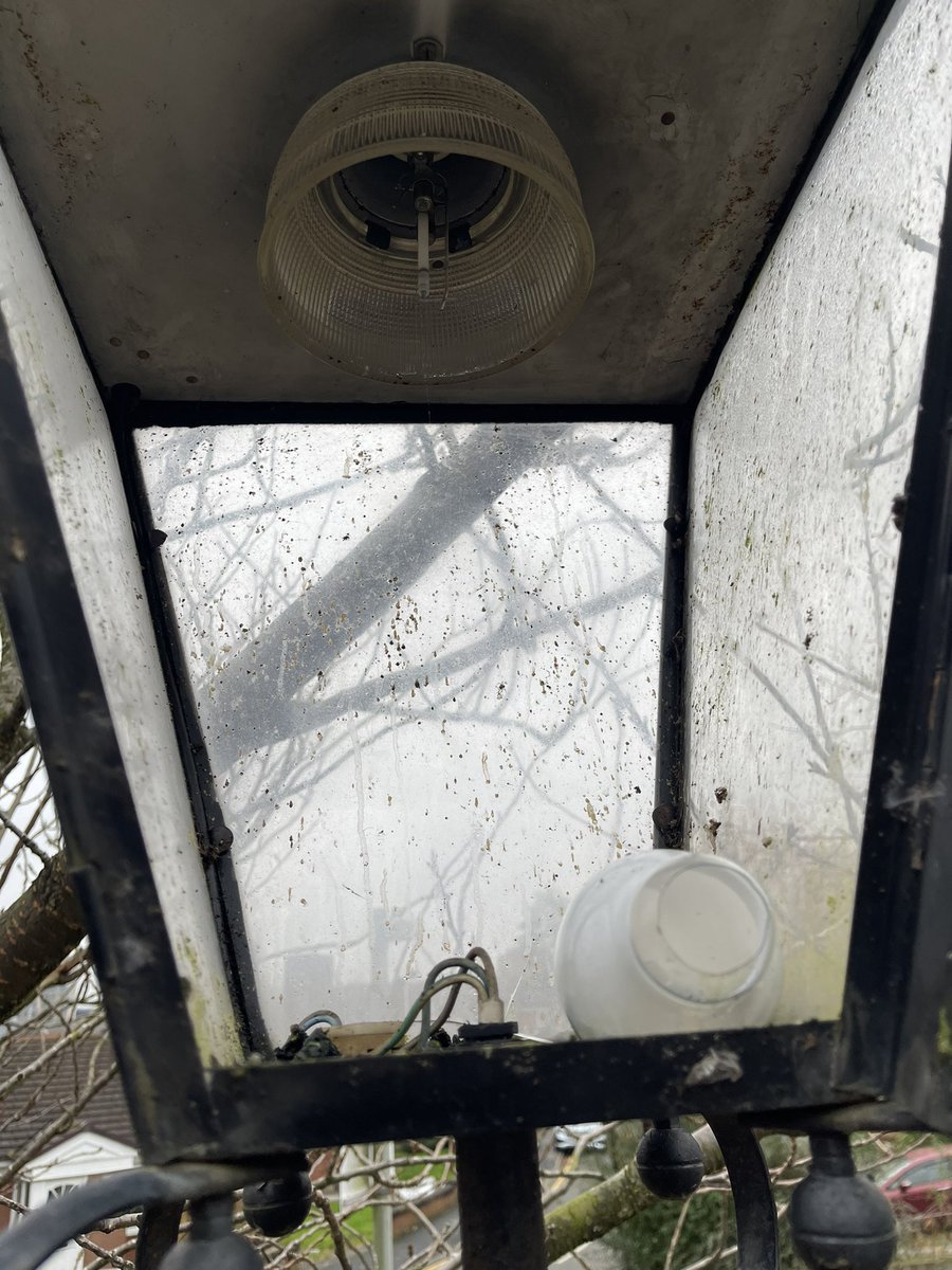 SolutionsEM's tweet image. Fixing and cleaning more outside lights again … and yes still using SON lamps #blockpropertymanagement #lightingrepairs #SALFORD #propertymanagement