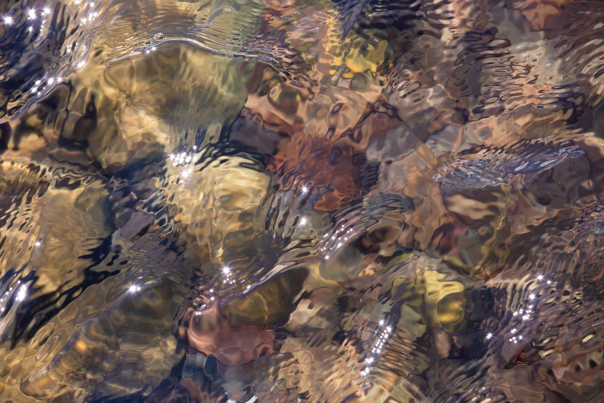 Stormwater runoff is the single biggest threat to the water quality of Lake George - so, on a rainy day like today, it is a good time to think about the ways we can play a part in reducing it. lakegeorgeassociation.org/act-now/reduce…
#lga #lakegeorge #warrencounty #nys #environmentalprotection