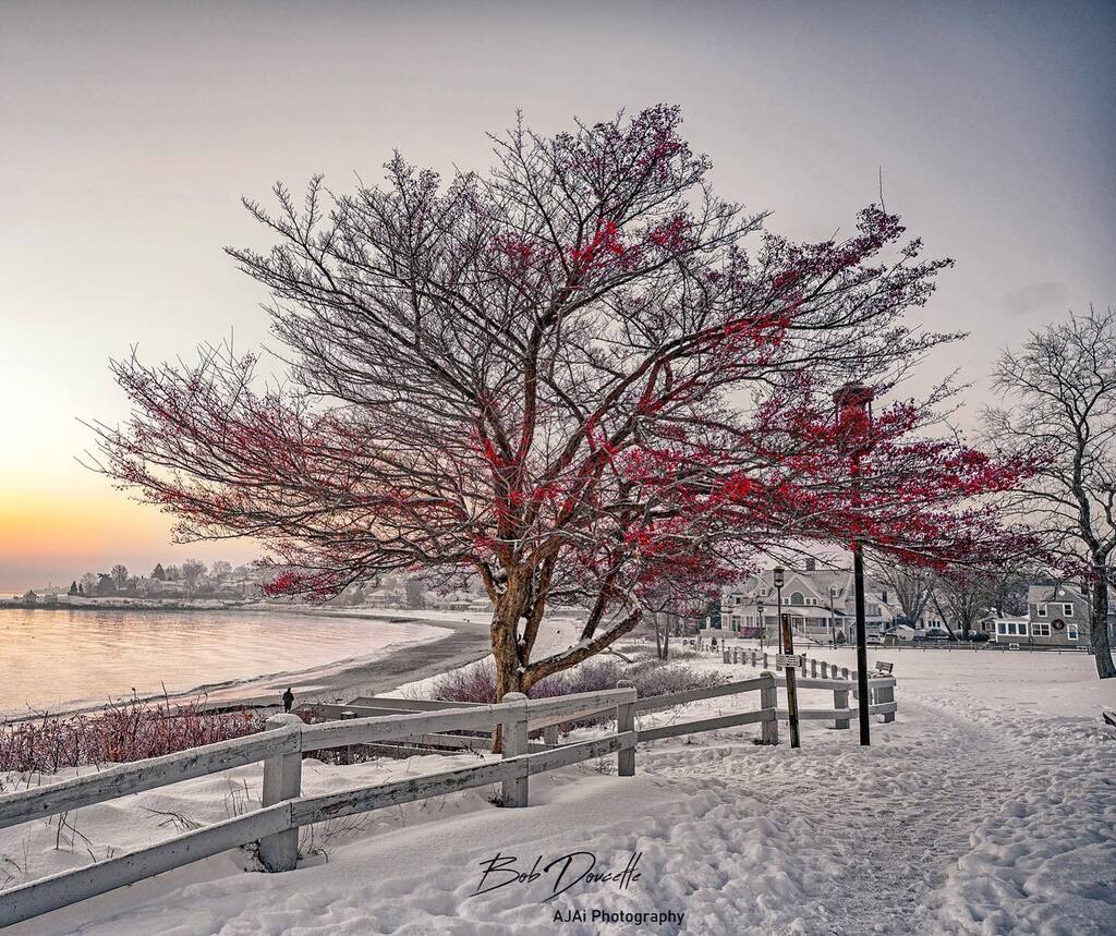 AJAPhotography2's tweet photo. A bit of winter from last year at the SMCC Campus overlooking Willard Beach in South Portland, Maine.
@shutterbugs4charity #downeastmagazine#mainelife #igersmaine #maine_igers#igersnewengland#themainemag#maine_igers#uspixels#visitmaine#raw_community#fortheloveofmaine#maineis… https://t.co/NtJ4lDWxDg