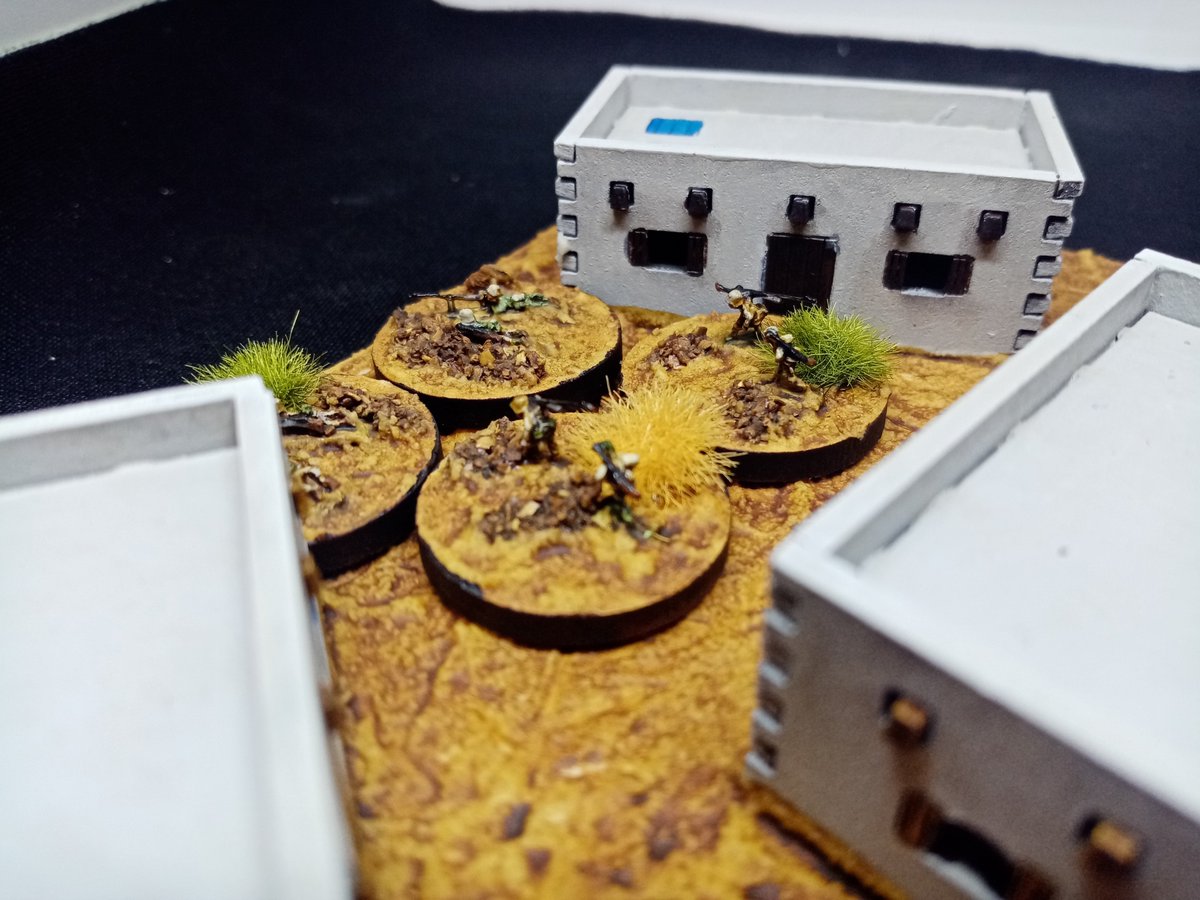 PotanCZ's tweet photo. First pics of my latest project - 6mm Afrika Korps Battalion in 1:1 scale ratio. 🌴 AT rifles section. - #ww2wargames #miniatureswargames #scalemodeltank #scalemodeltanks #flamesofwar #wargames #potanswar #chainofcommand #6mmminis #6mmminiatures #6mmwargaming #2d6wargaming https://t.co/aydCzZP9Vw