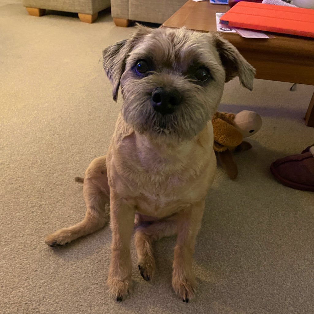 Hello #btposse it is me @hamishthebt, I’ve had my account stolen. Please spread the word and give me a follow.