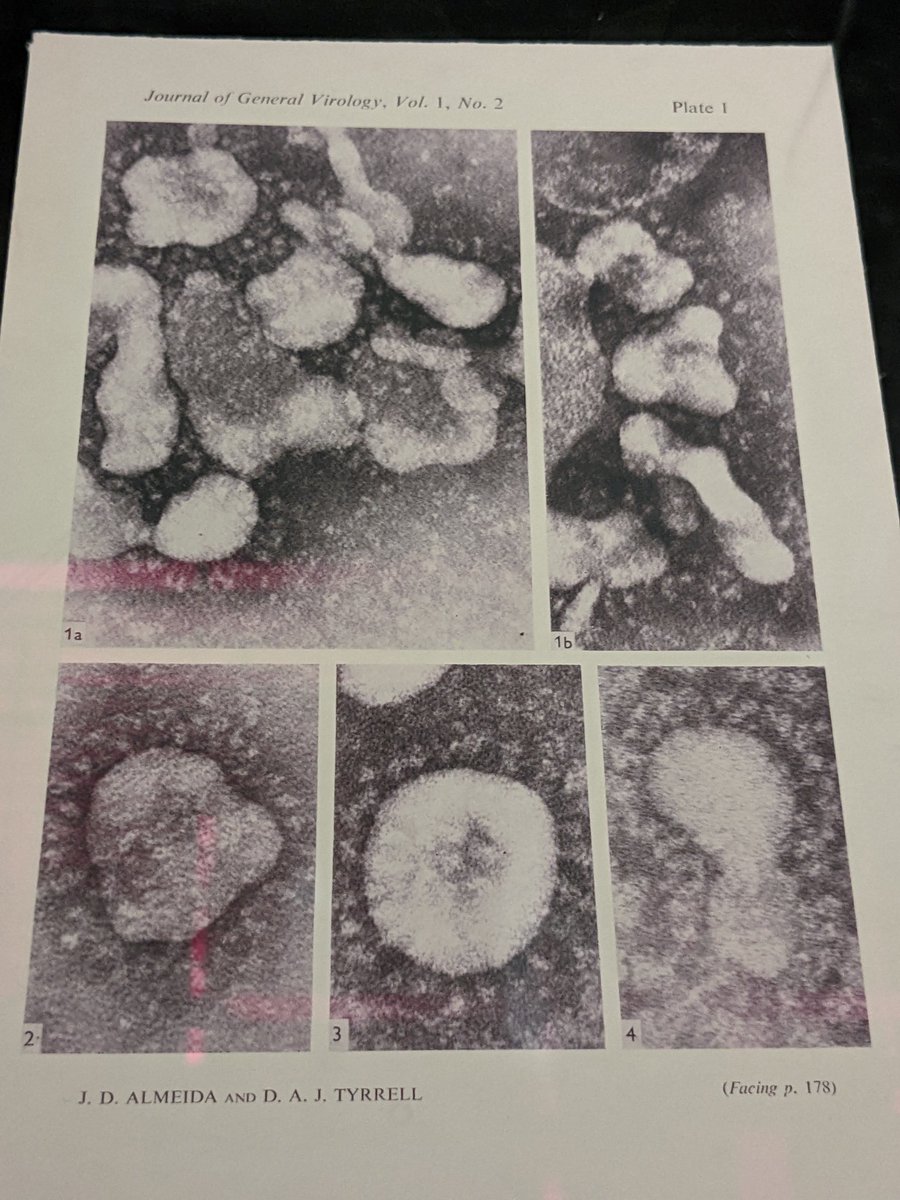 sciencemuseum's tweet photo. In Injecting Hope you can see June's incredibly detailed images of coronavirus, captured in 1967 #smLates https://t.co/oBSSvo8d4V