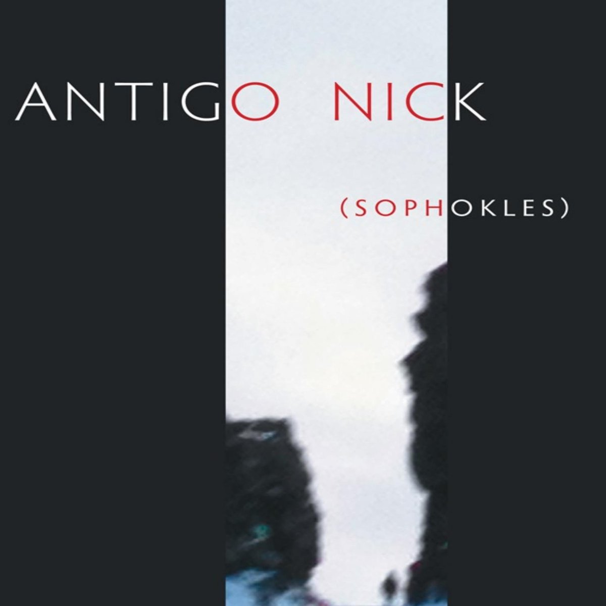 Zebrabidea tweet media