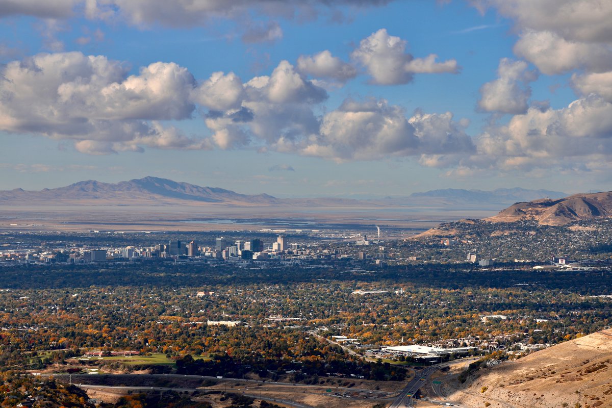 Peter Edmonds tweet media