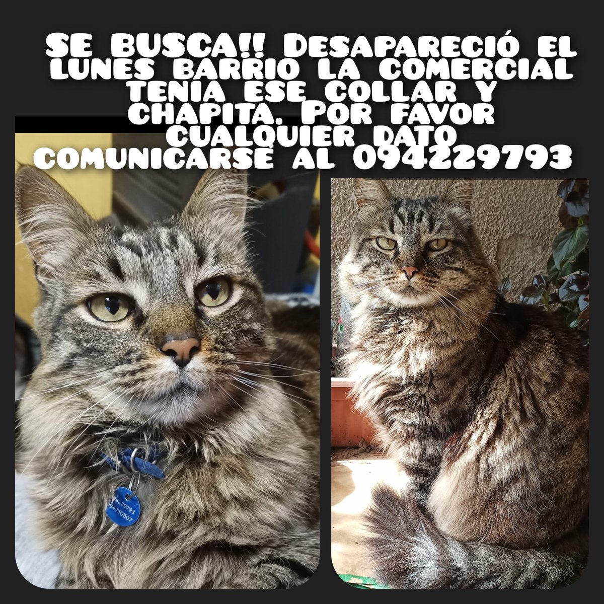 Lo buscan!!!!