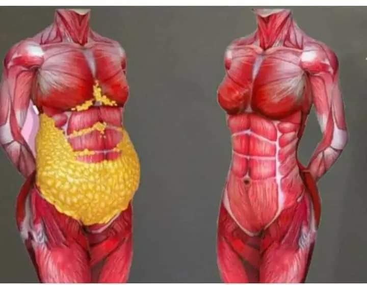 10 نصائح ذهبية لتنحيف البطن بدون رجعة

وصفات وأنظمة رجيم وأنواع طعام مختلفة وربما غير محببة أو لذيذة...