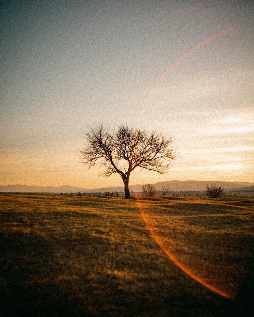 photos I took at sunset