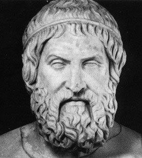 Zebrabidea tweet media