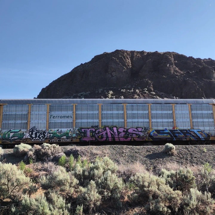 GraffitiExpress's tweet photo. gm tres ignes sert
#kamloops #train #graffiti #art
#gm #tres #ignes #sert https://t.co/Elzr5JA1vT