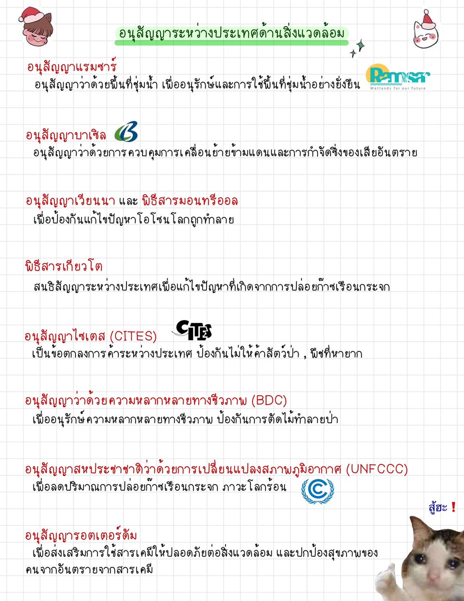 น้องรากผักชีลูกแม่ (rest) tweet media