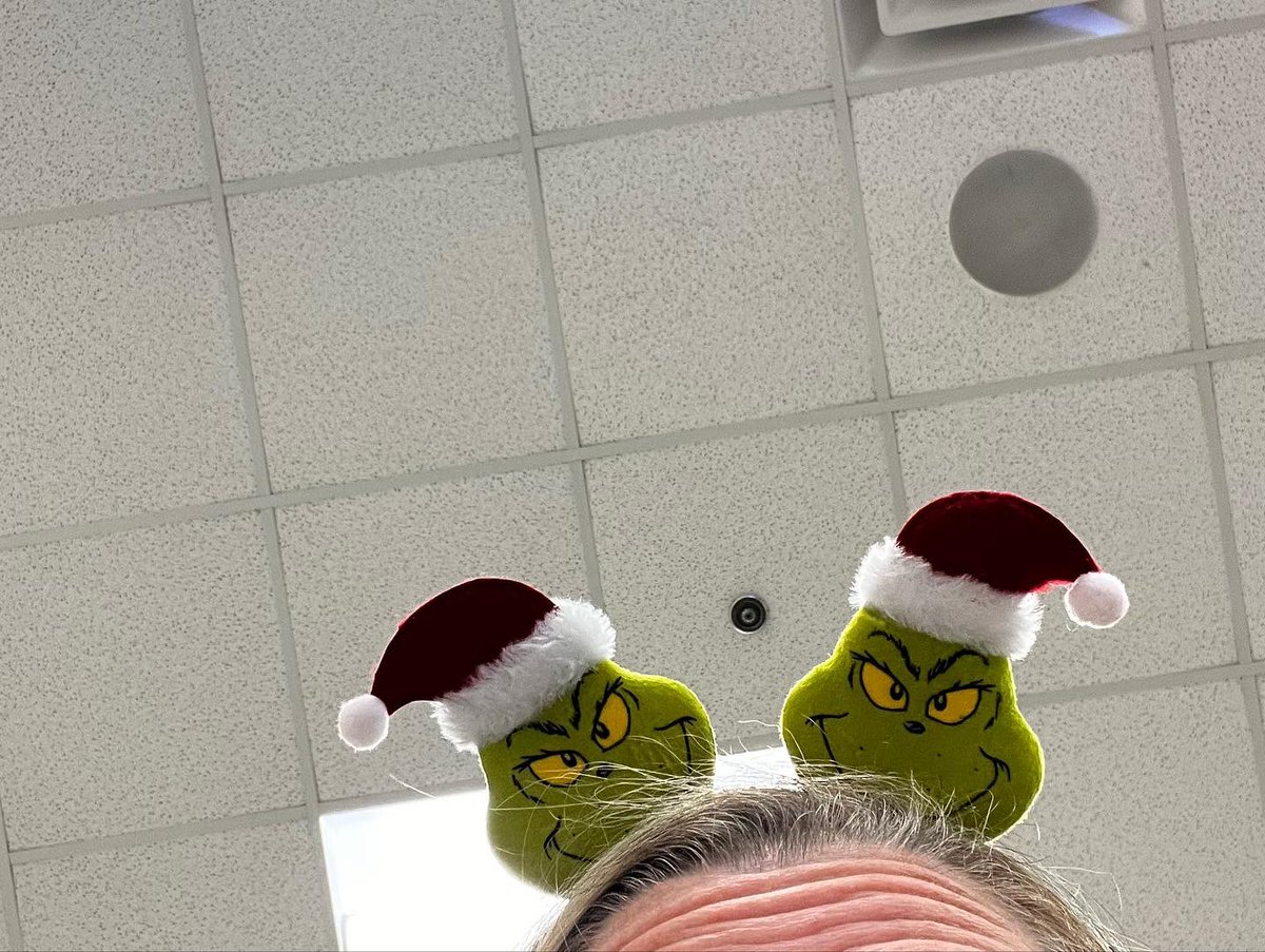 14 Days of Holiday Fun: Day 2 Gingerbread and Day 3 Grinchmas