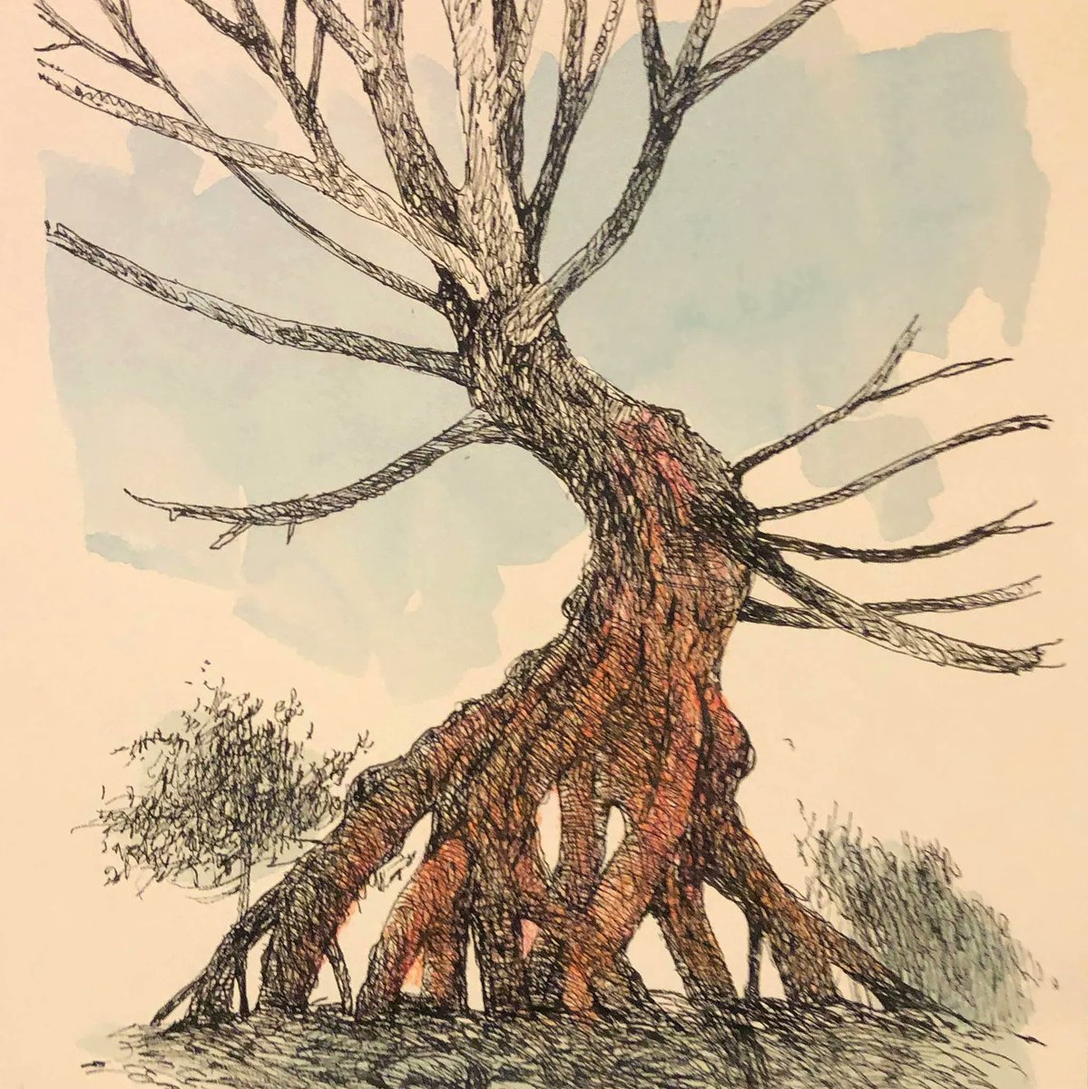 FateAccompliArt's tweet photo. Norm Campbell and Stephen Lawrie will be showing originals and prints  Friday, Dec 2nd from 4 - 7pm at Fate Accompli Gallery. Come in from the cold for mingling and refreshments!   🥂 🧀 🎉  10% - 50% off gallery wide through Russian Christmas!
#ShopSitkaLocal #FateAccompli https://t.co/XCjWV0OQ3S