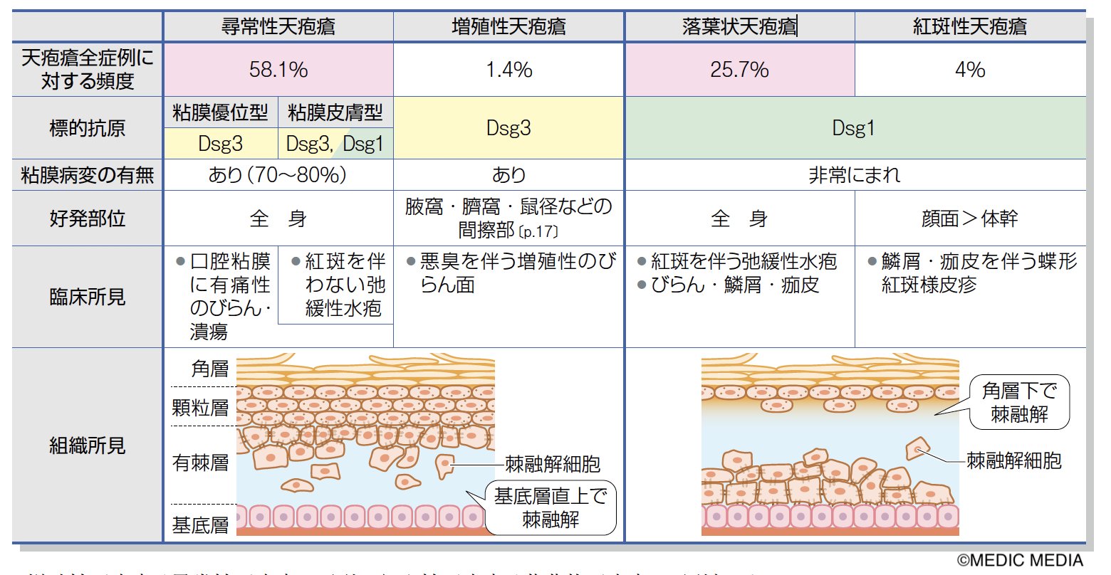 類天疱瘡とはわかりやすく – 類天疱瘡とは簡単に : 類天疱瘡とその関連疾患 – ECQG