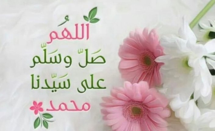 QasimAlishk1's tweet photo. #Team_Defenders 
@QasimAlishk1 https://t.co/Mcw4f7aRwN