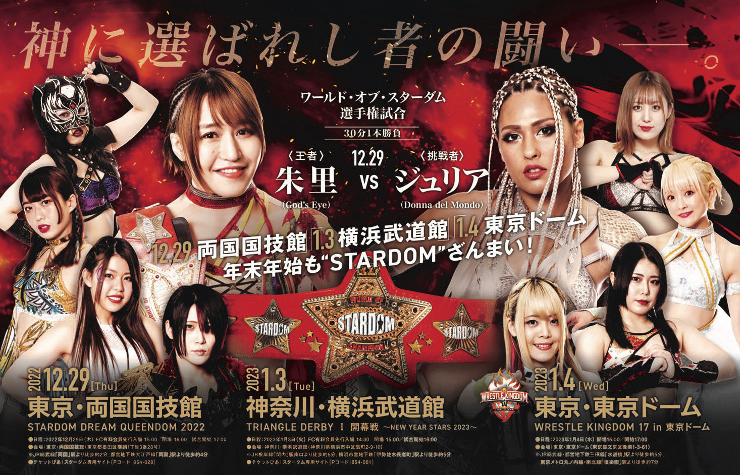 Amazon.co.jp: スターダム STARDOM VIP席特典 横浜武道館 直筆