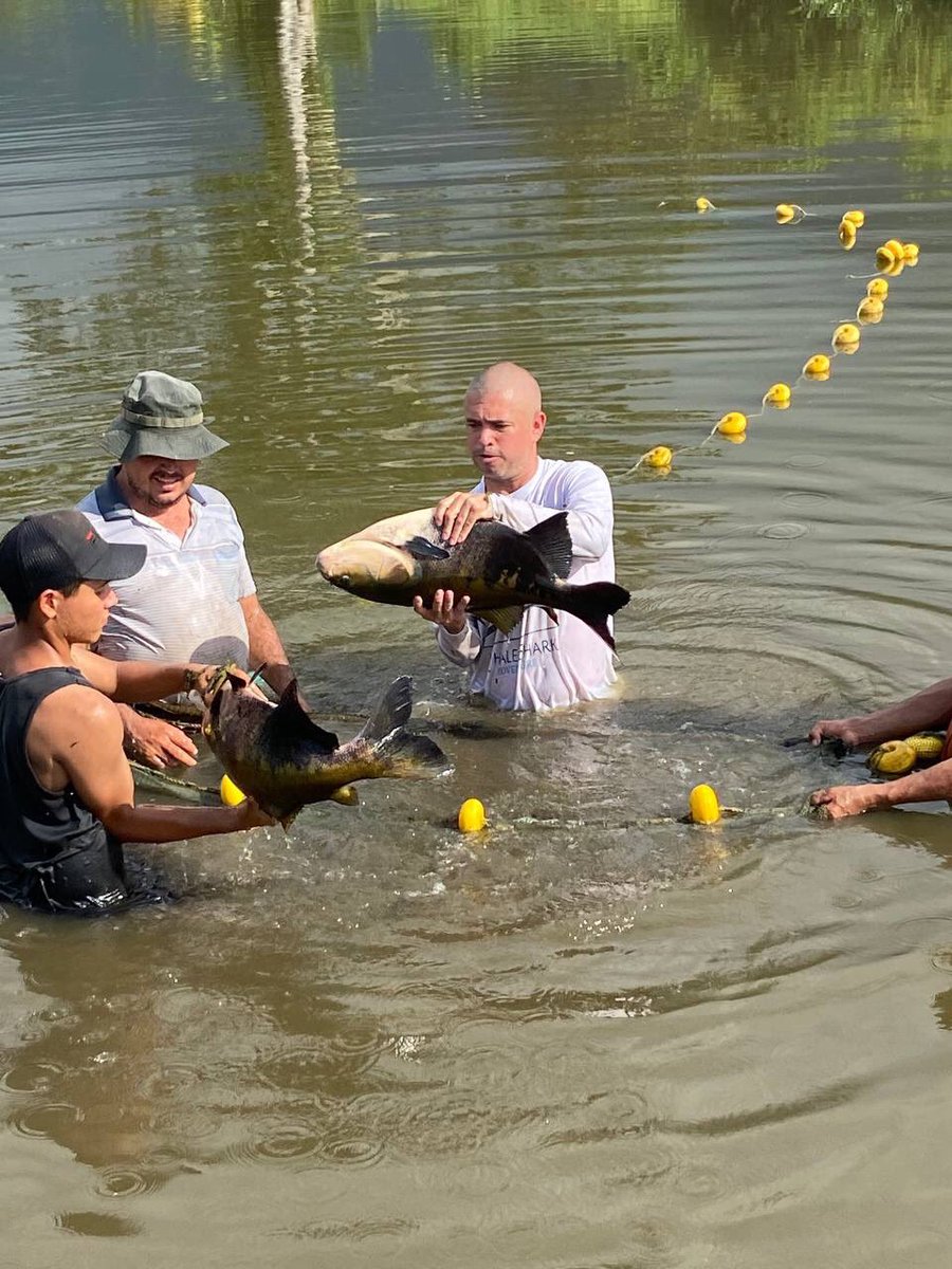 EricRicardoM tweet media