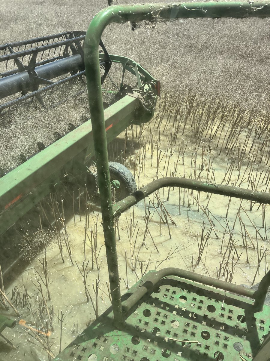 Andrew harding tweet media