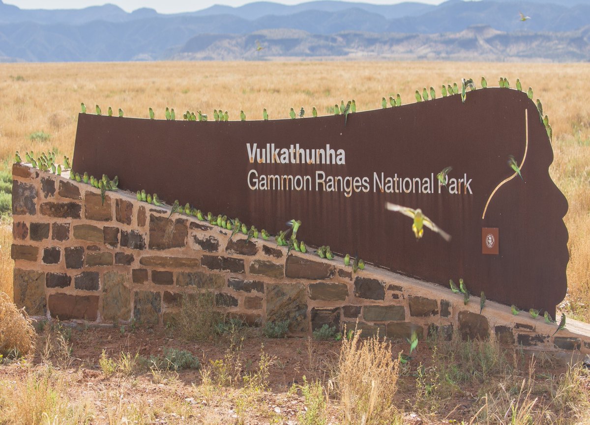 SA Department for Environment & Water tweet media