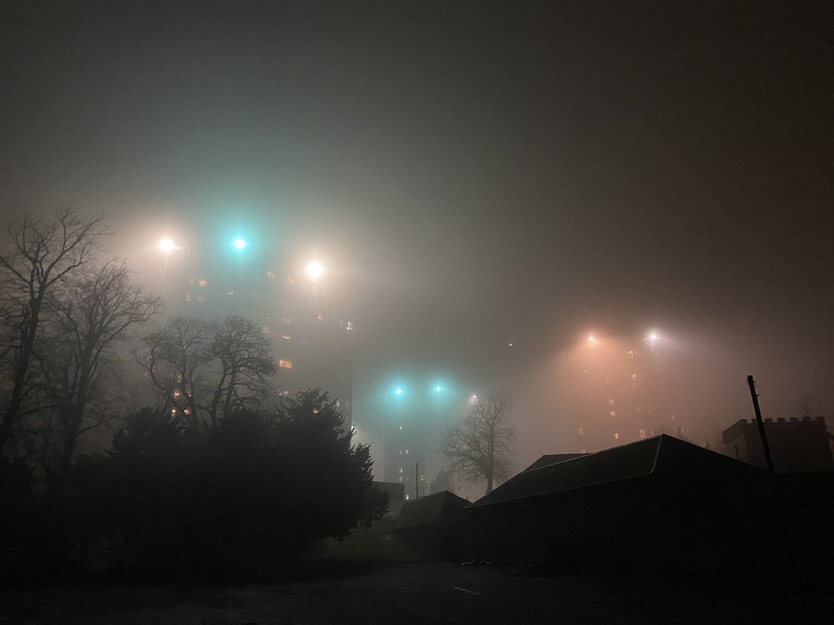 memorydrum's tweet photo. Foggy St Andrew’s Night 
#callendarpark
@VFalkirk https://t.co/nW3woUivsX