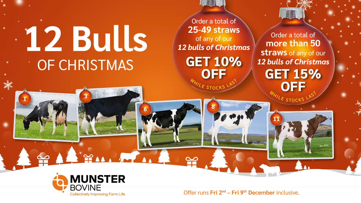 It's beginning to look a lot like Christmas ⛄️ ❄️🎄!!! Check out our <a href="/MunsterBovine/">Munster Bovine</a>  "12 Bulls of Christmas" Special Offer which runs from Friday Dec 2nd to Friday 9th Dec inclusive. bit.ly/3EO92JP. Contact your FRM Breeding Advisor or your AI Technician / call 022 43228
