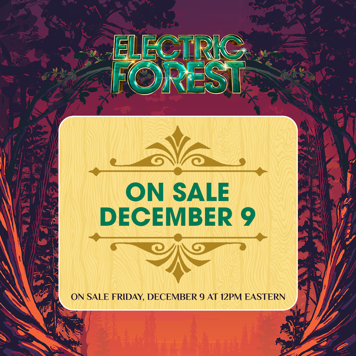 Electric Forest ⚡🌲 tweet media