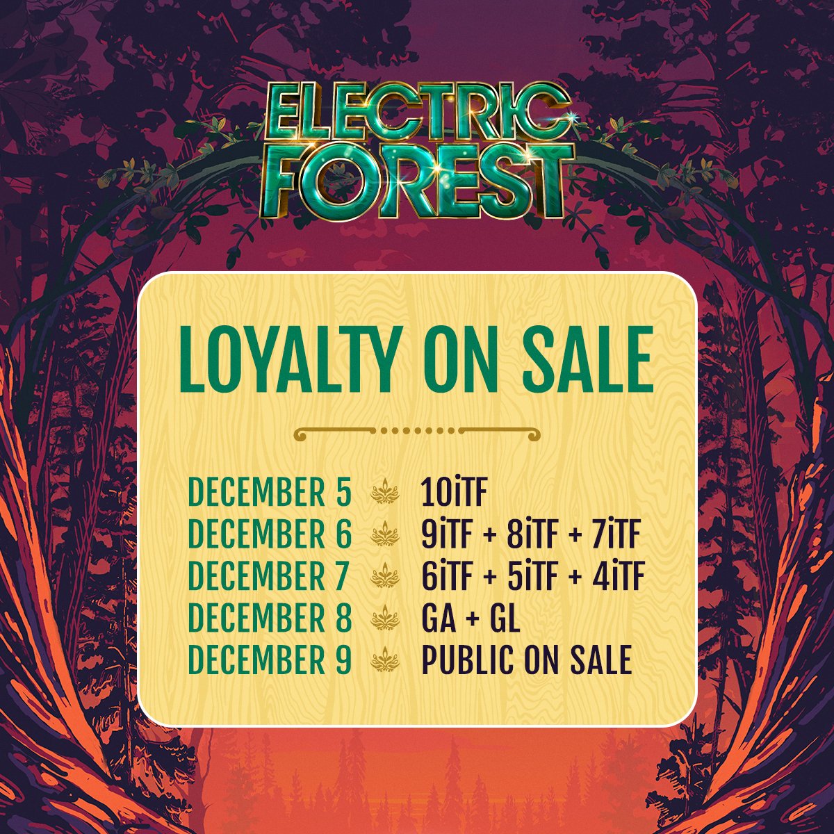 Electric Forest ⚡🌲 tweet media