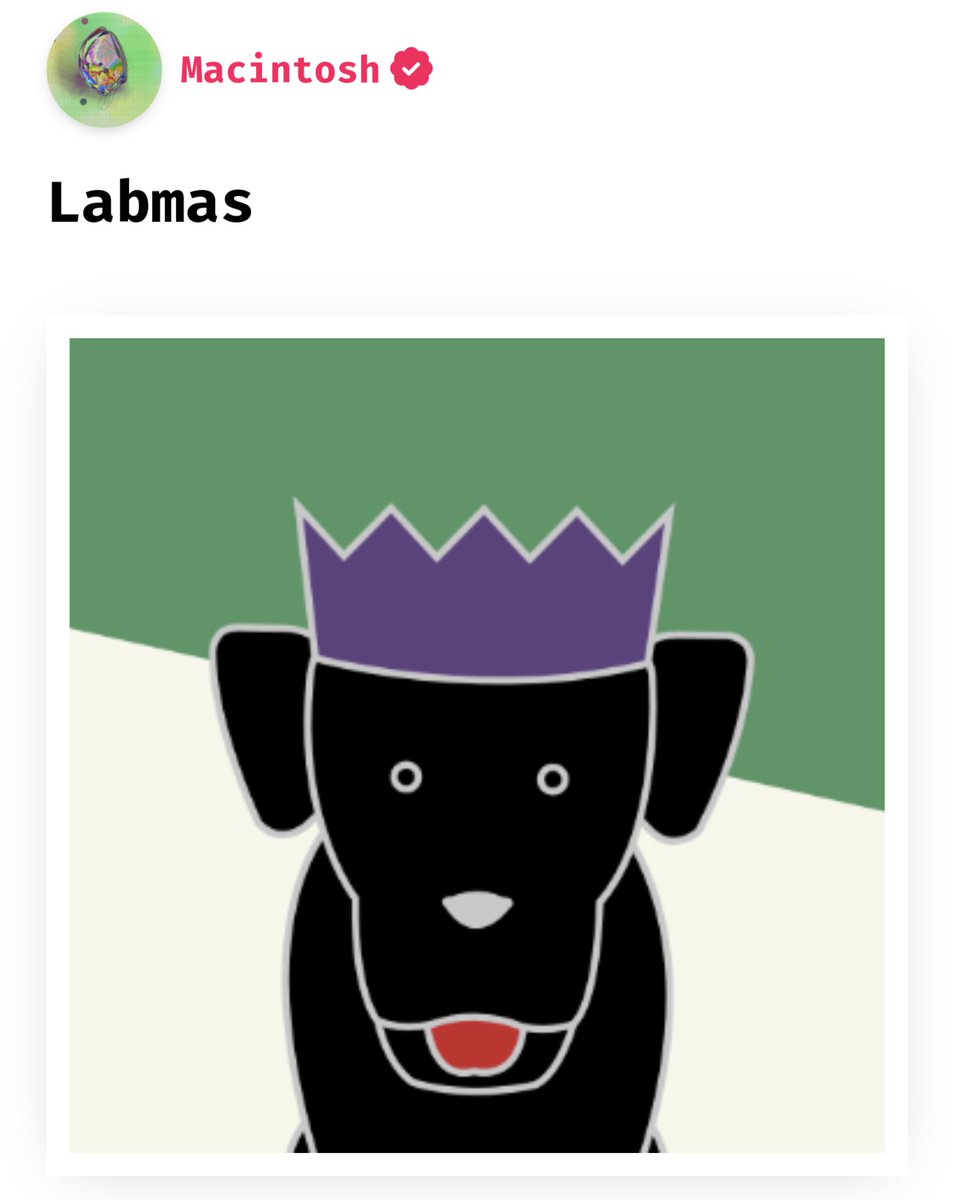 macintosh's tweet image. GN. Labmas is minting from midnight. When we go from November to December.  #fxhash #FXmas #Labrador