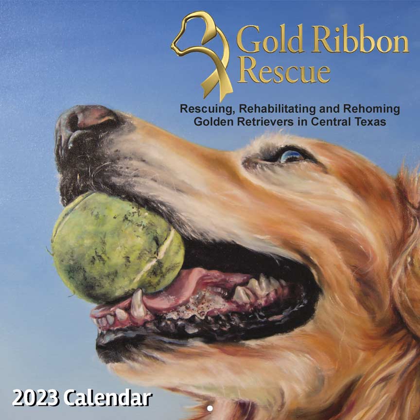Holiday shopping? Gift the 2023 Gold Ribbon Rescue calendar! 
yearbox.com/calendarsforgo…