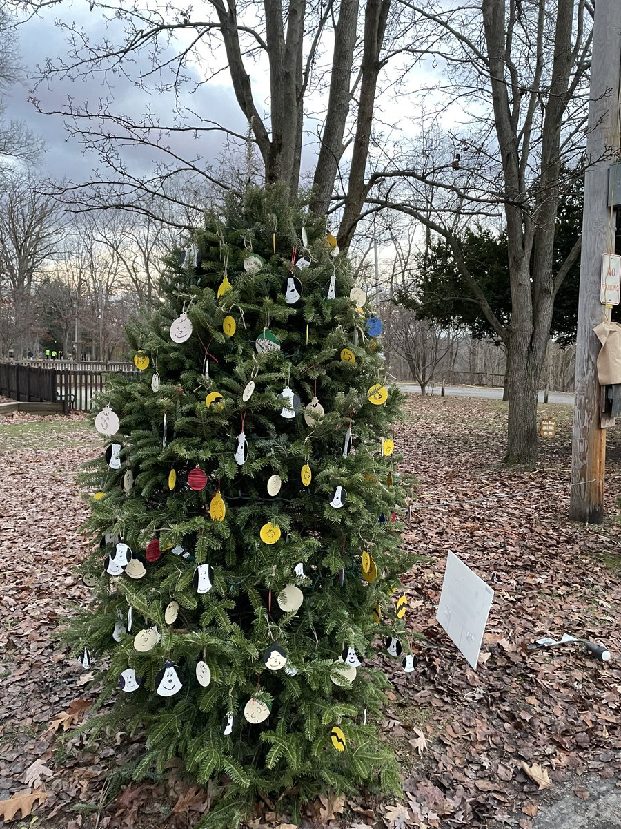 Lori Ott tweet media