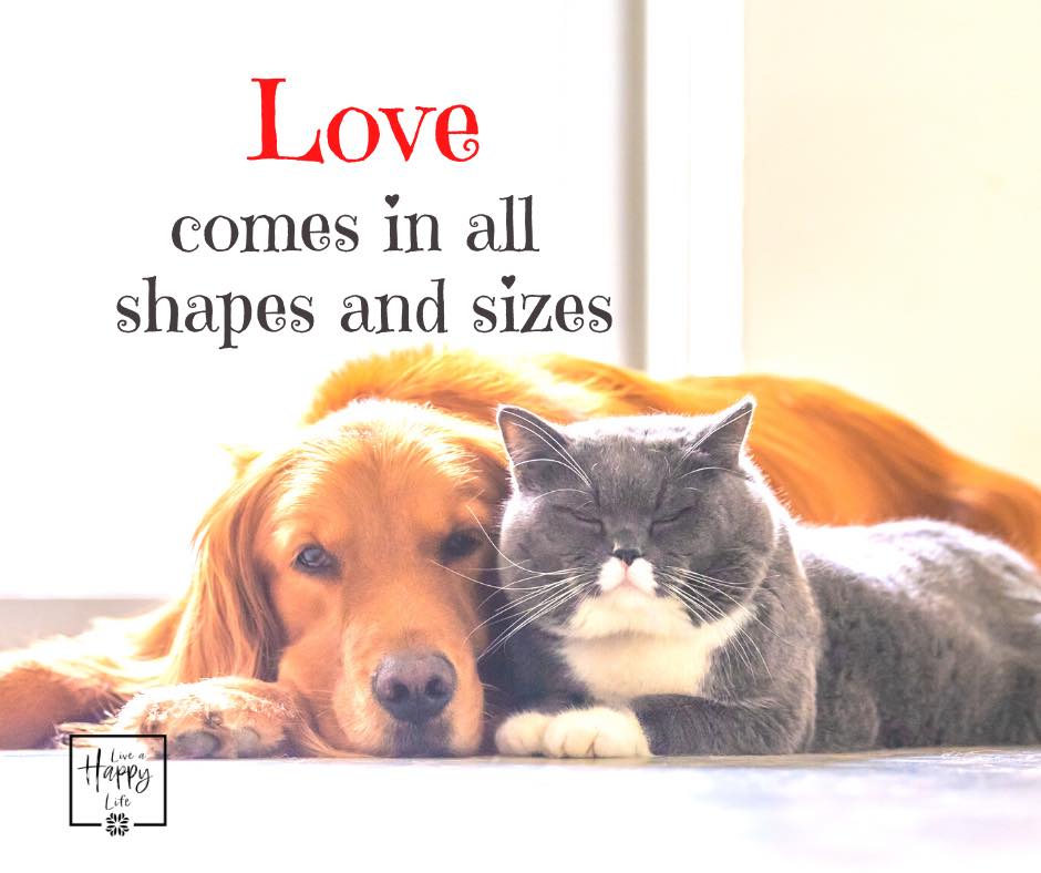 Love comes in all shapes and sizes. ~