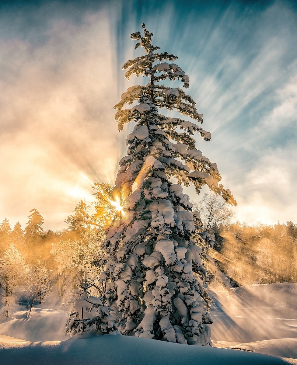 vincentschnabl's tweet photo. When the light hits just right ✨️ https://t.co/P7N8CQegmd