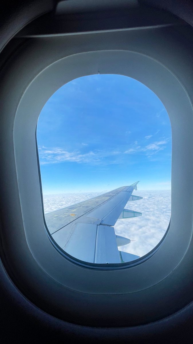 GM! Just woke up on this flight, not sure where it’s heading but it looks warm. ☀️✈️