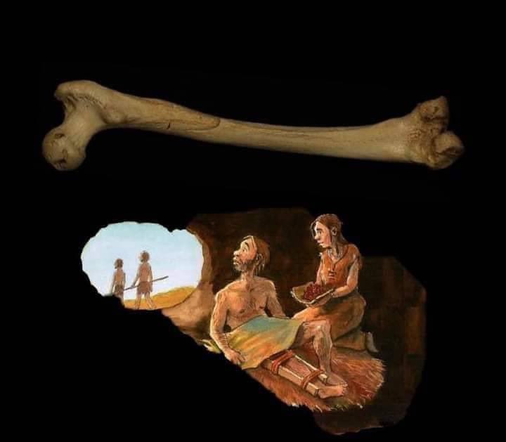 drkelwinjuan's tweet photo. Os fisioterapeutas seguem cuidando de ossos quebrados desde os primórdios da humanidade, quando a profissão nem existia 🦴 https://t.co/MFauBzrlbN