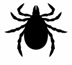 rahhead01's tweet photo. The Ant Tick Roadshow #InsectsTV https://t.co/79NWmiOpW1