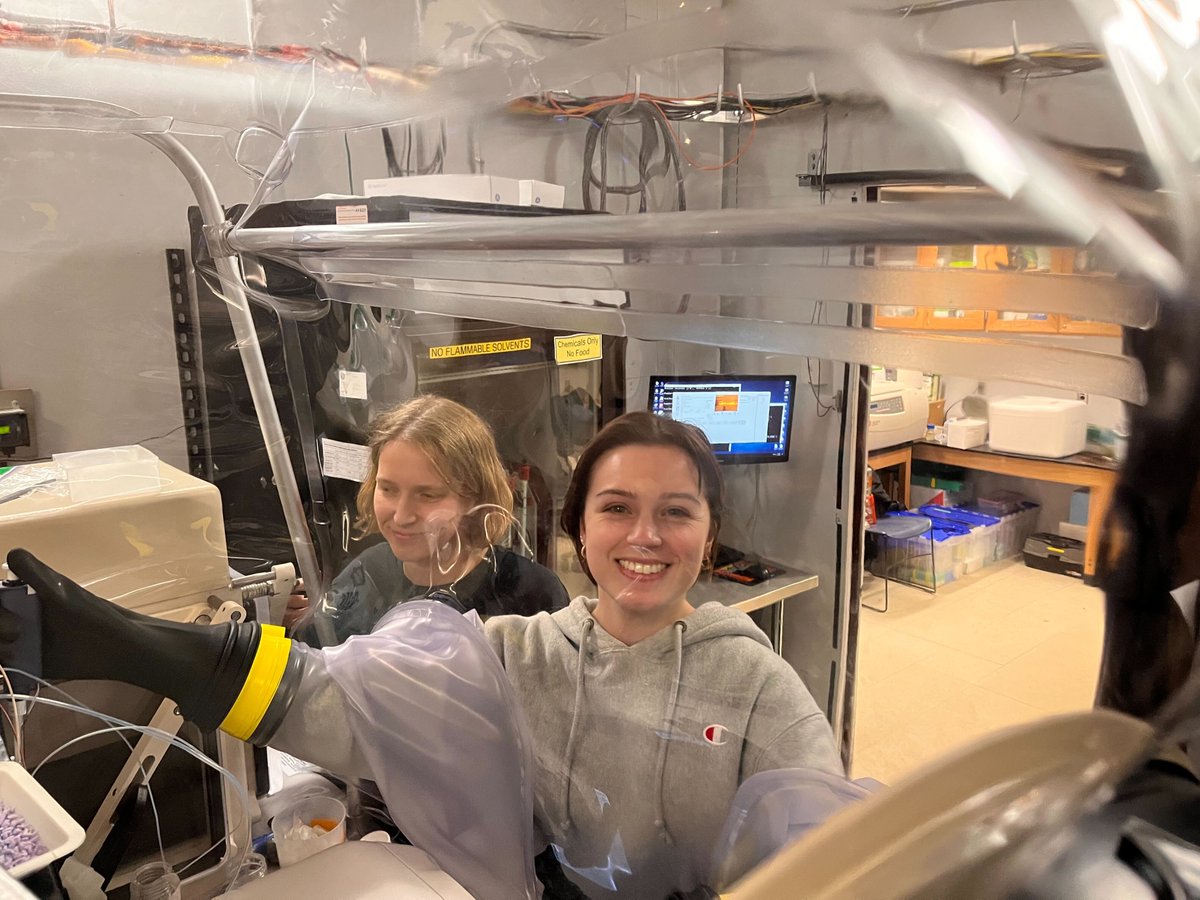 Nozomi Ando tweet media