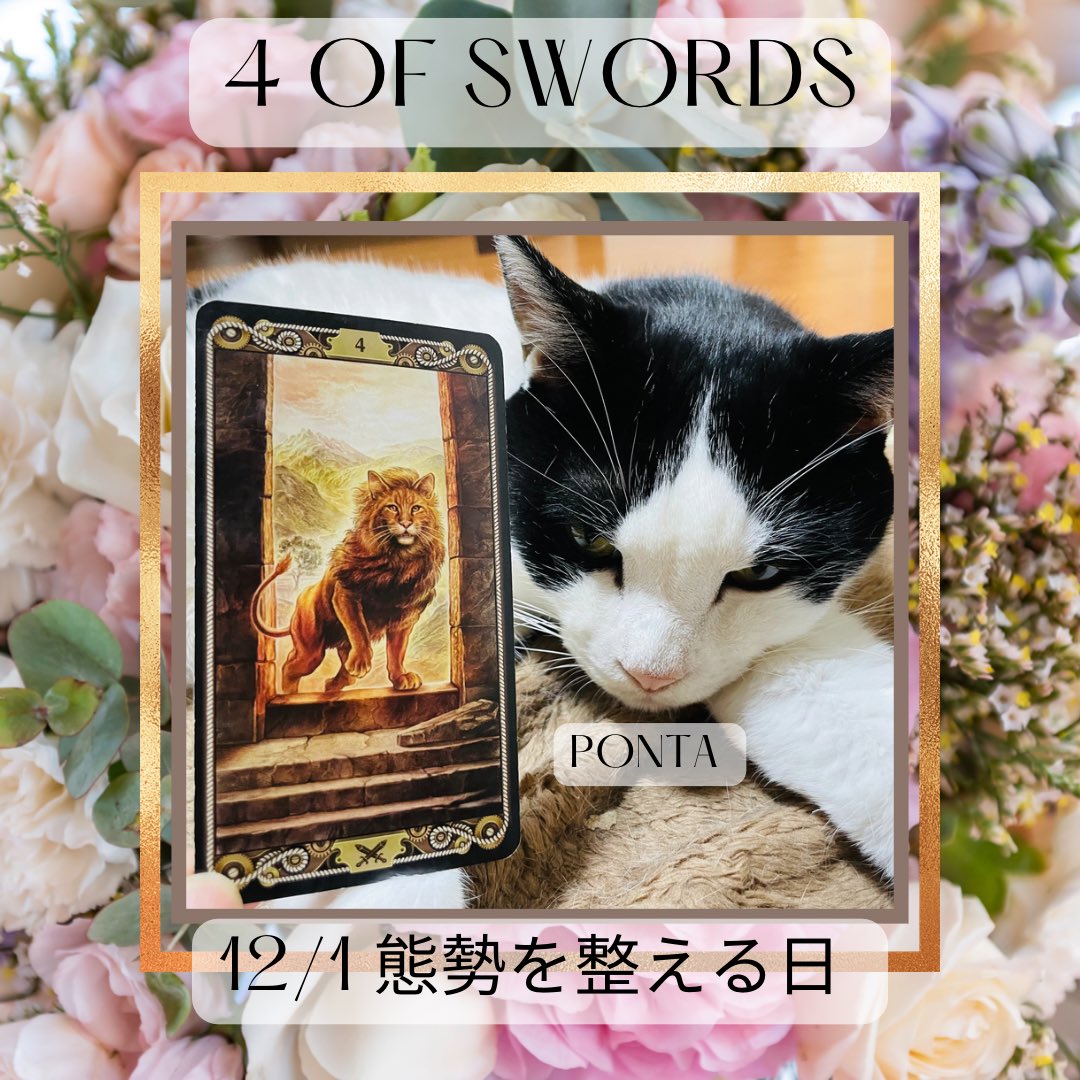 oraclerinko's tweet photo. 12/1態勢を整える日🧘心身共にパワーダウン⤵️ひとりになる時間や休息が欲しくなる時。もしくは忙しい日々を過ごしていた人には束の間の休息の日🍵これから始まる年末の慌ただしさに備えて今日はゆっくり過ごしましょう🤗 #4ofSWORDS #整え中ニャ #タロット #猫 https://t.co/JzFhQw36bs