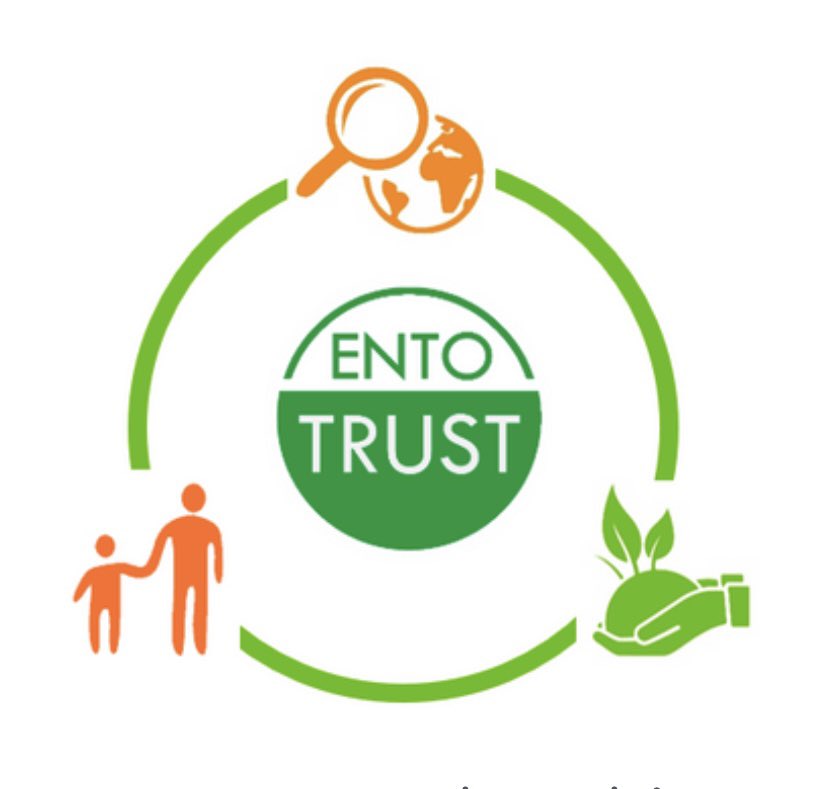 entotrust's tweet photo. Insetti da Mangiare: La certificazione Entotrust: https://t.co/BLozVCr0Bm https://t.co/Dw0W8CutIk