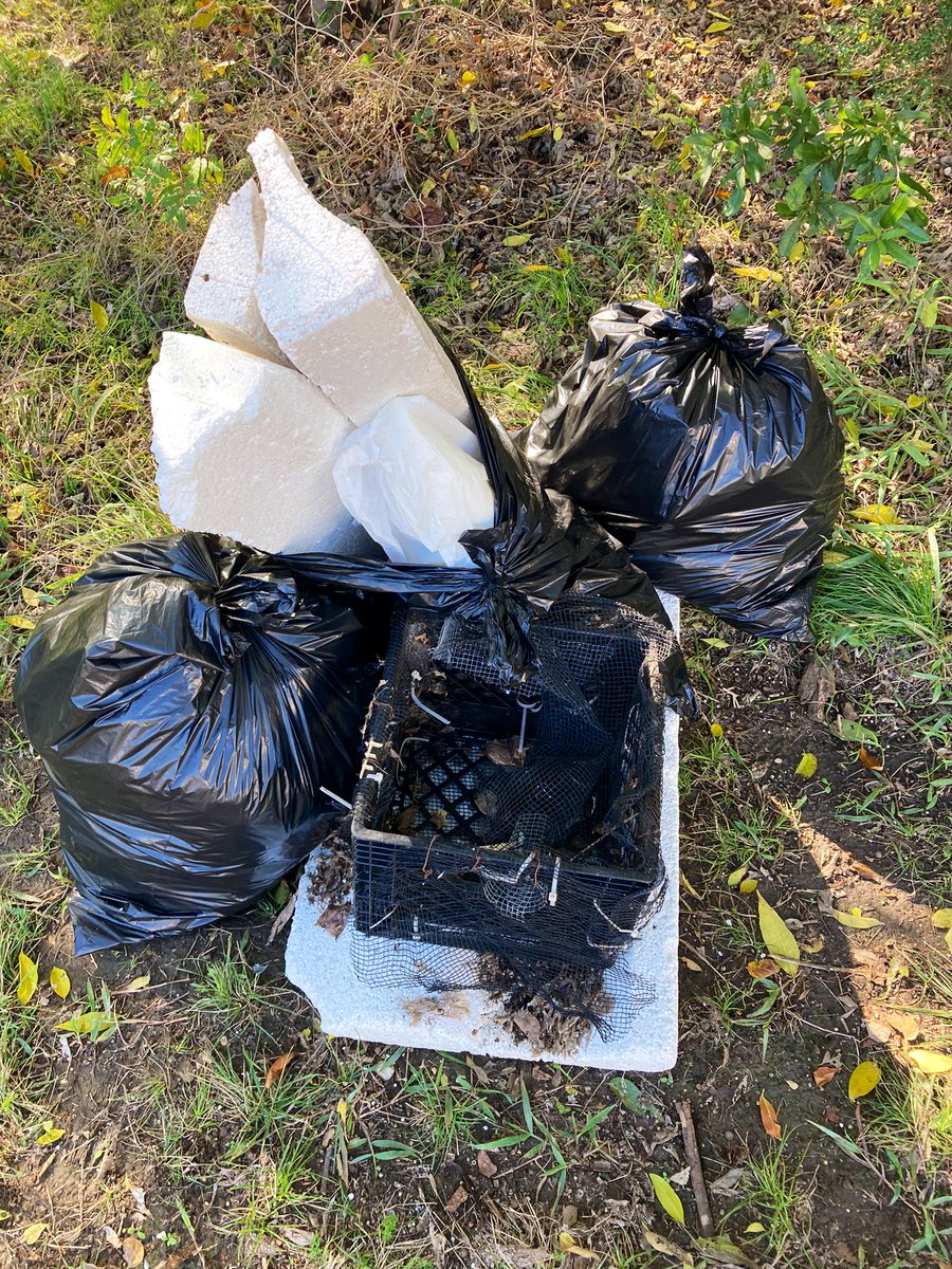 K2Runs's tweet photo. Changed from one day to the next: the temperature (35°!).
Unchanged: my commitment to help Keep Grapevine Beautiful.
#DoBeautifulThings #CleanYOURBlock #GoVolunteer #HappytoHelp #DontmesswithTexas #KTWC #KGVB https://t.co/ayellOQmN7