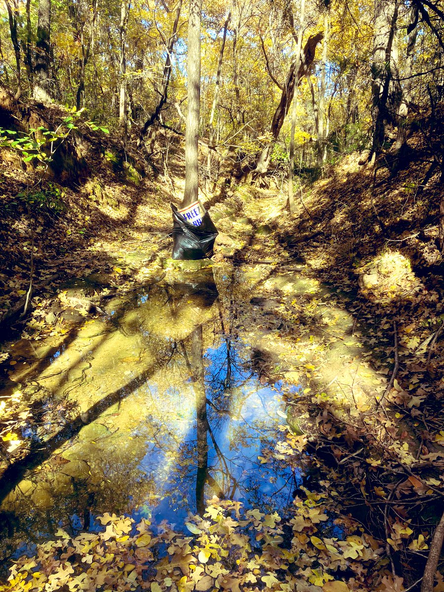 K2Runs's tweet photo. Changed from one day to the next: the temperature (35°!).
Unchanged: my commitment to help Keep Grapevine Beautiful.
#DoBeautifulThings #CleanYOURBlock #GoVolunteer #HappytoHelp #DontmesswithTexas #KTWC #KGVB https://t.co/ayellOQmN7