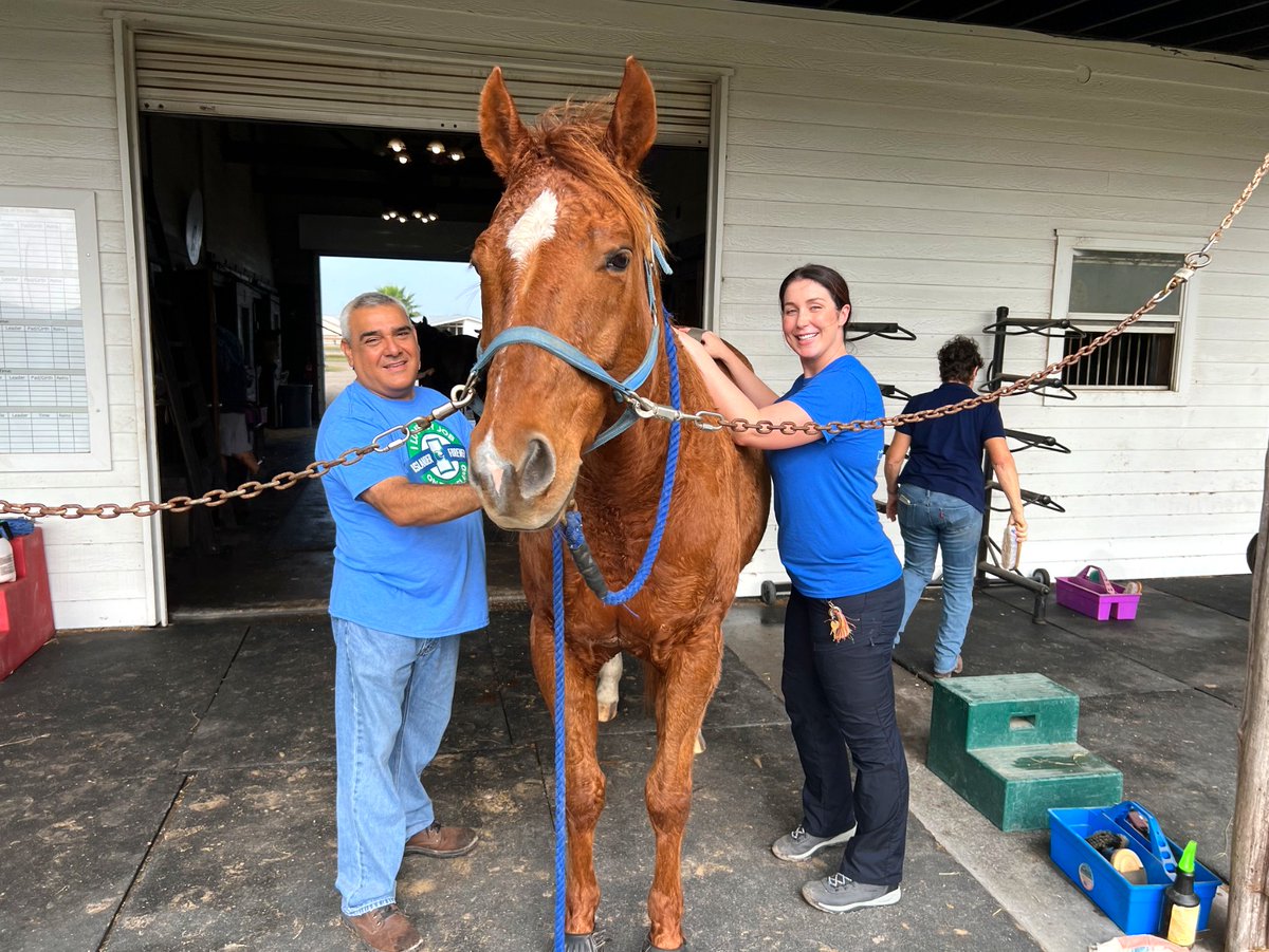 IslandCampus's tweet photo. Best way to spend Bluesday Tuesday is serving our Corpus Christi community for #GivingTuesday! Almost 300 Islanders from our faculty and staff rolled up their sleeves and helped 23 local organizations across the Coastal Bend with 885 volunteer hours🤙🏽💙  #IslanderImpact #TAMUCC https://t.co/LMAGyZ52Ut