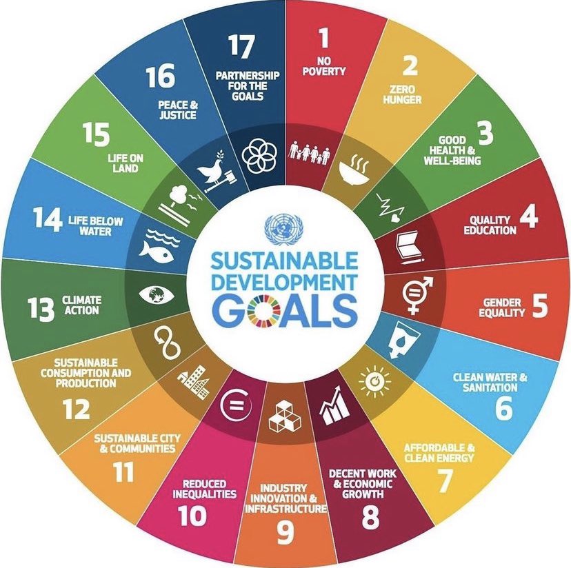 Corals 4 Conservation tweet media