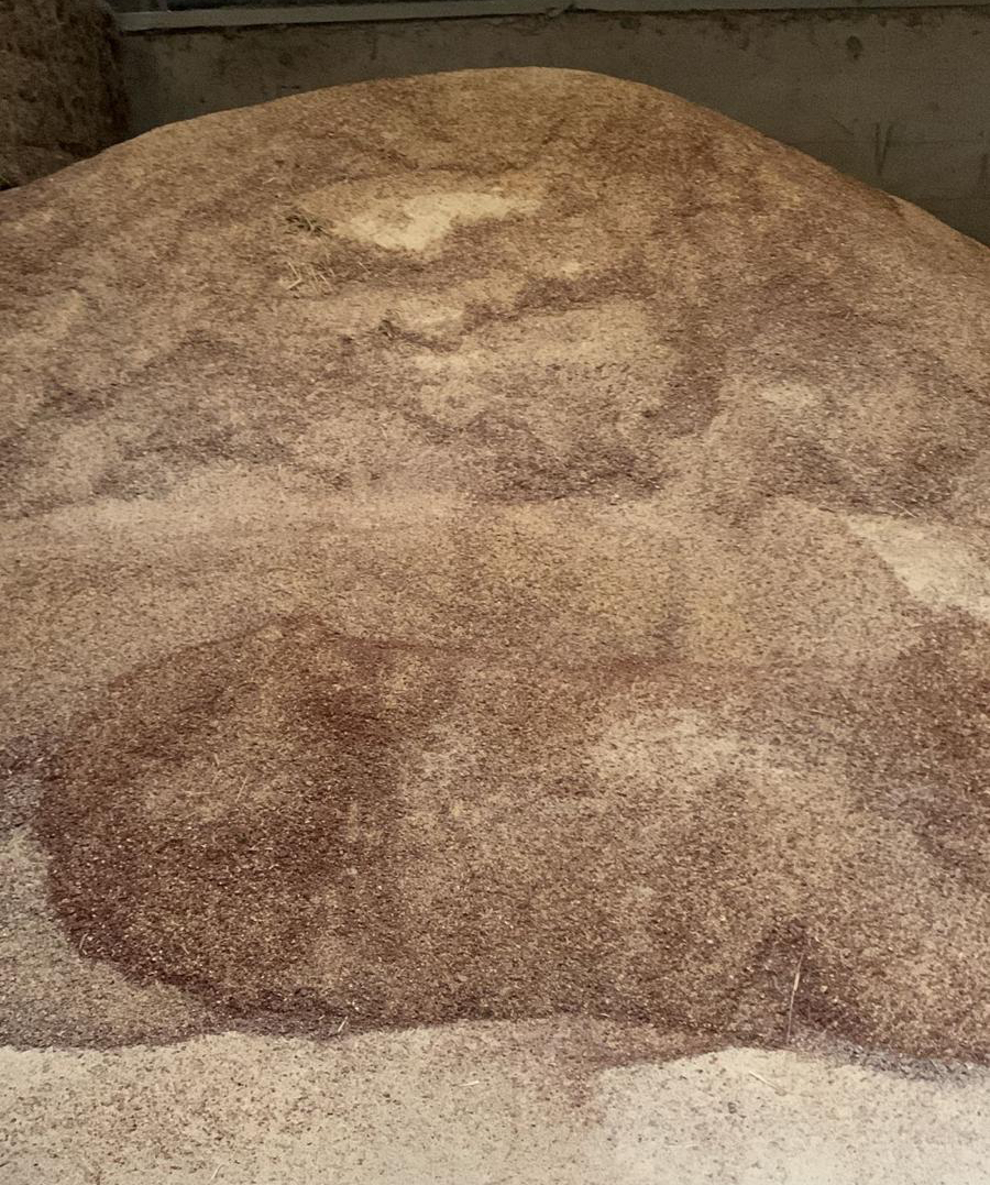 McArthur BDC tweet media