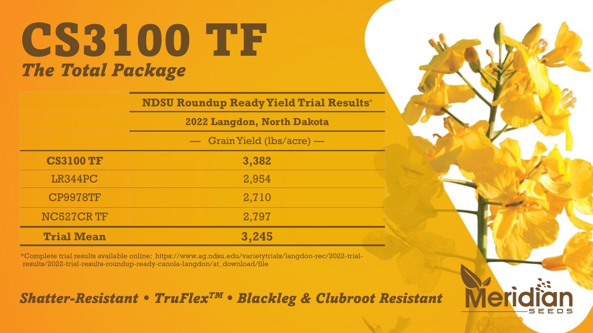 Meridian Seeds tweet media