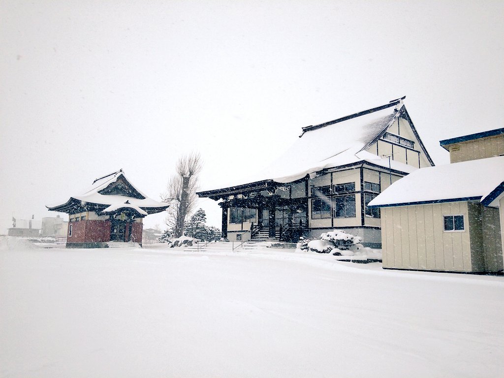 senpukuji1904's tweet photo. おはようございます！

境内地は一晩でまた冬景色に！
そしてこのこの寒さ…。今回は根雪かもしれませんね… https://t.co/z0m60JyphO