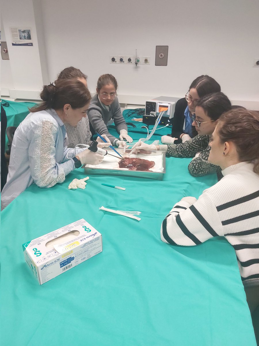 EAHPBA's tweet photo. Day 1 of the hands on lap liver course at the CIBA in Zaragoza.

Practical wet lab session using the @BOWAMEDICALUK Lotus.

#HPB https://t.co/akEMex3kN9