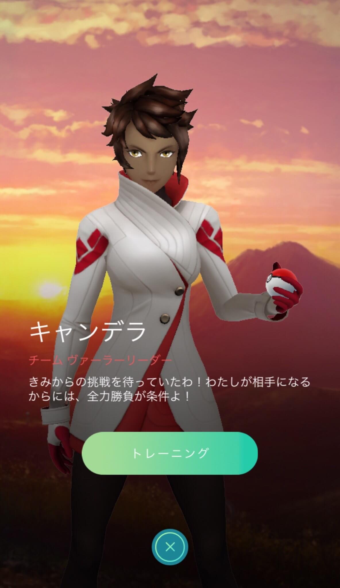 ポケモンGO SR HR まとめ売り ポケモンカード ポケカ スパーク