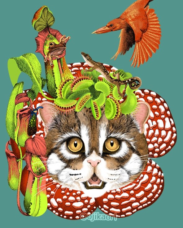 「AIにイラスト読んでもらったら今時の絵師さんっぽいタッチになったけど、木彫のカエ」|オオジカオリ/KOJIのイラスト