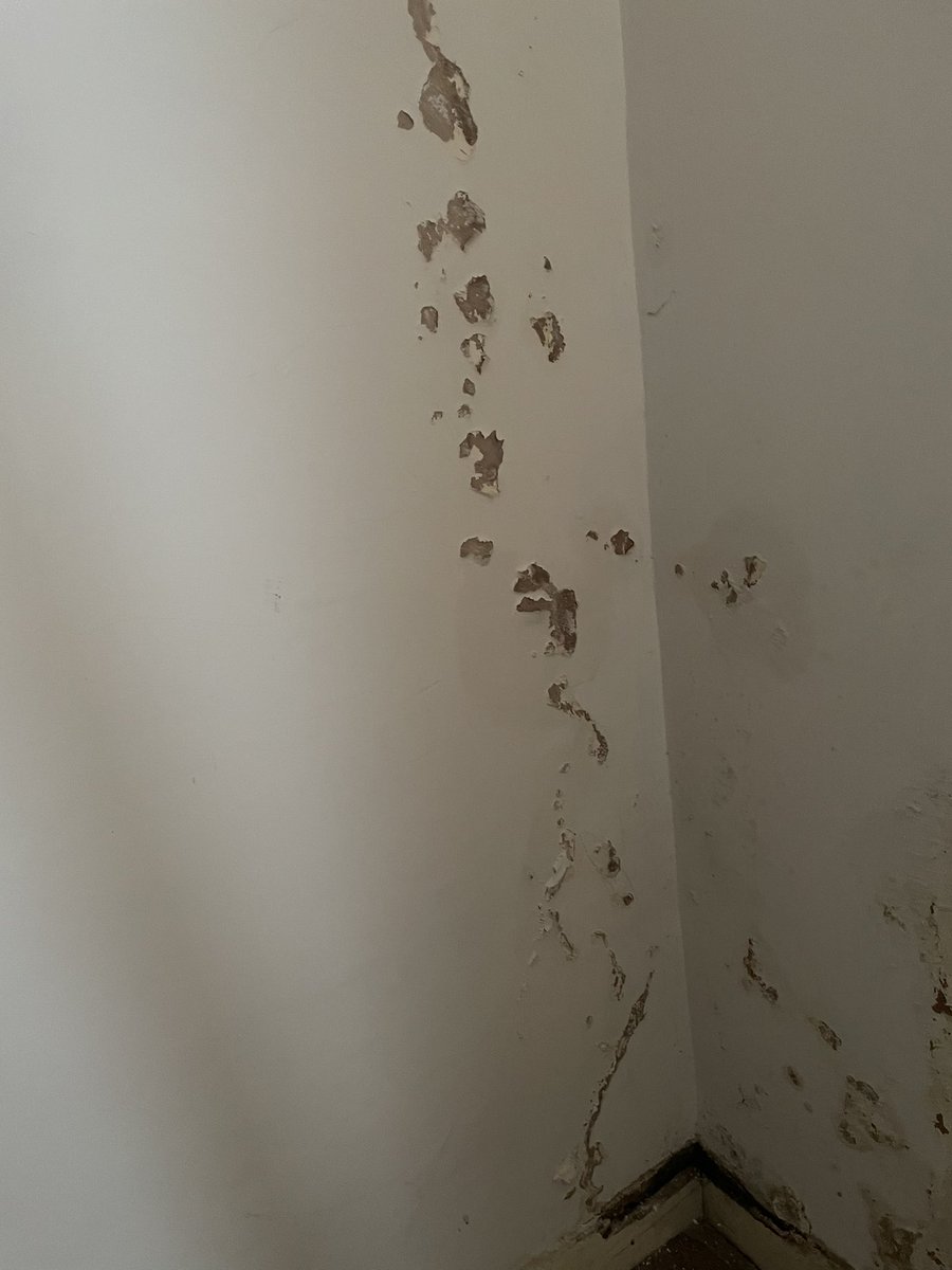 softpetals's tweet photo. Today I was asked what I felt about the EWI #Arbed I’m angry and it’s eating me up. No apology, no remorse, no care in the world and why is that? You don’t live in a house like mine because if you did it would be fixed immediately!! @HuwJDavidCC @MarkDrakeford #EWIcladding https://t.co/WwmZbepXPO