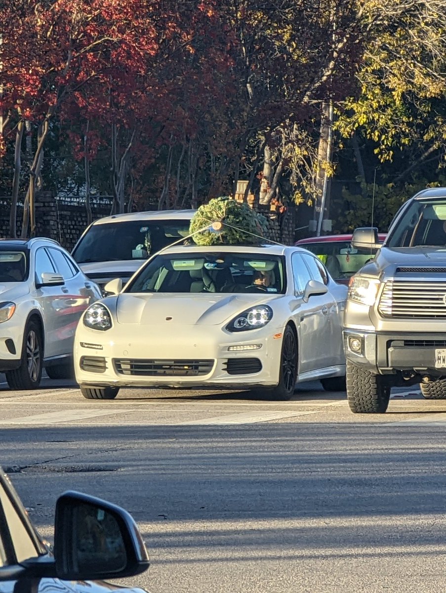 Interesting choice to grab a tree with <a href="/DougDeMuro/">Doug DeMuro</a>